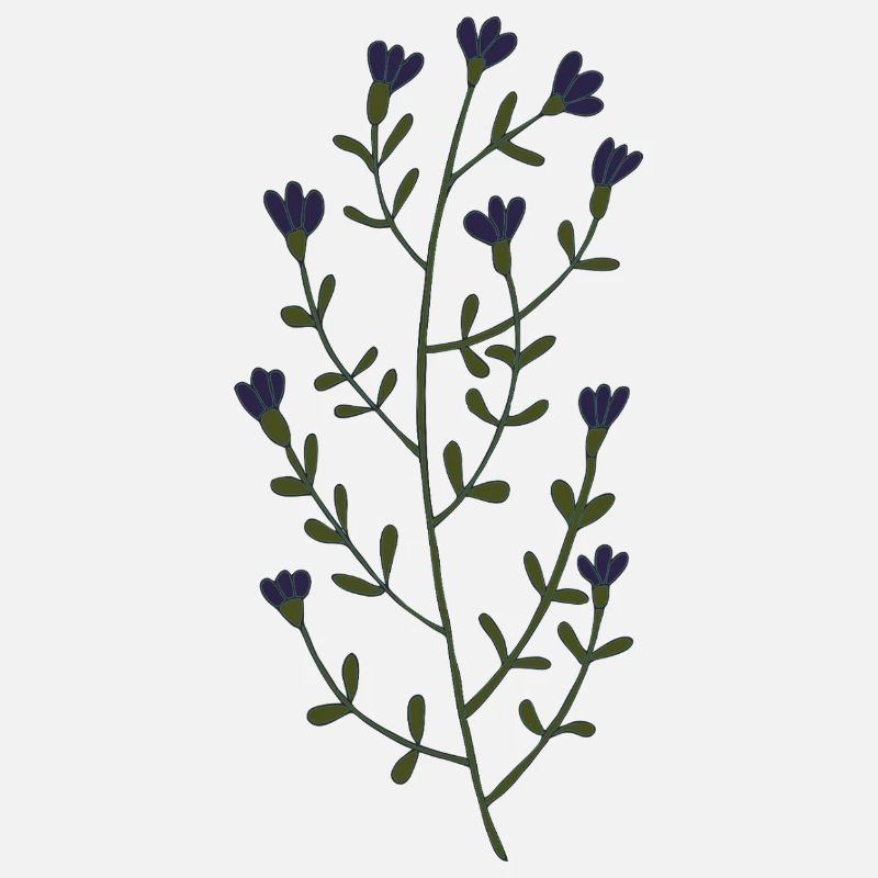 Minimalist lavender illustration