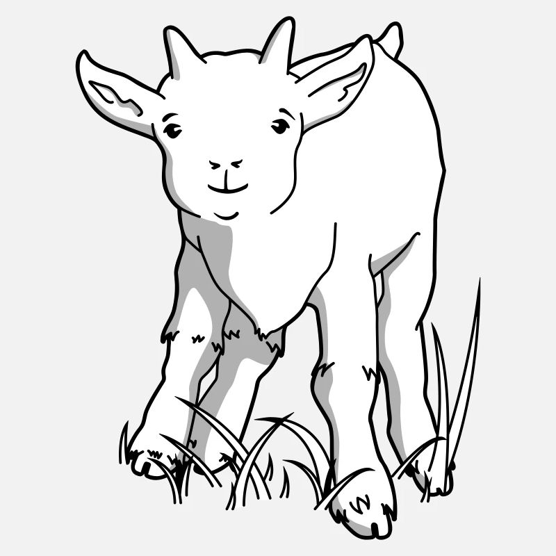 Cute goat