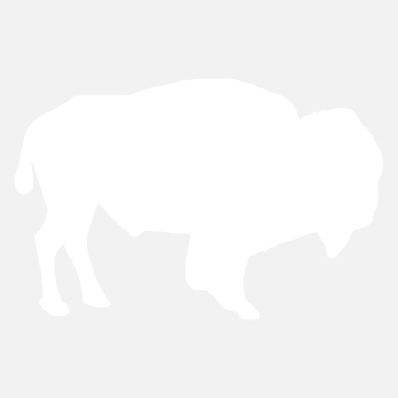 Bison