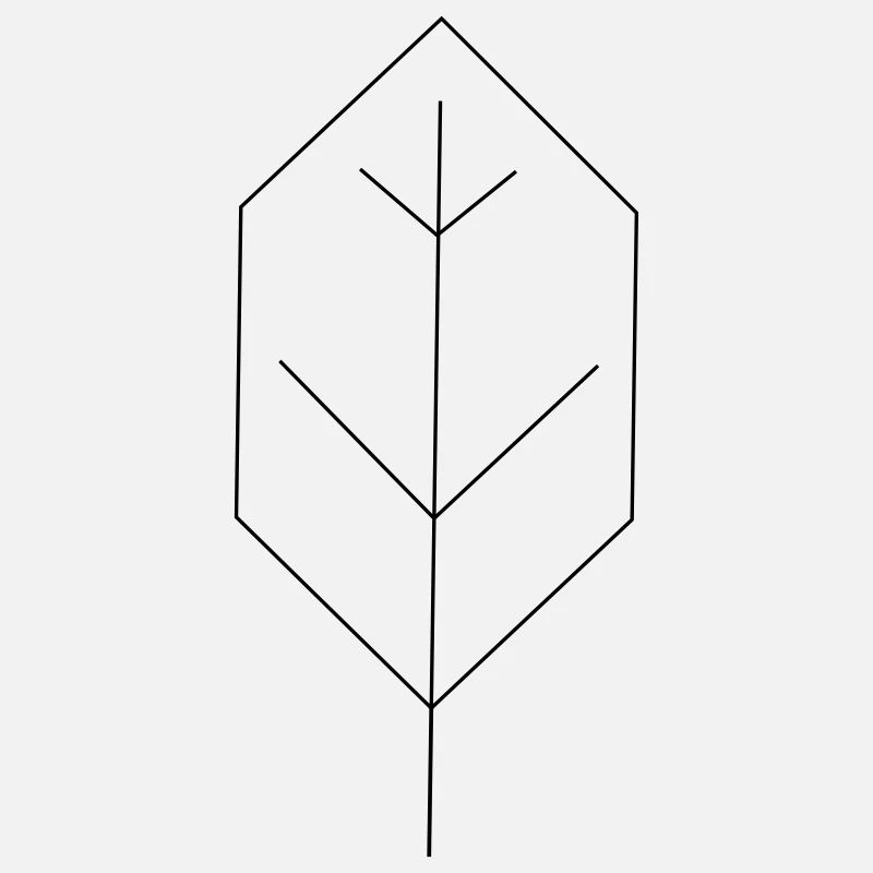 contour des feuilles