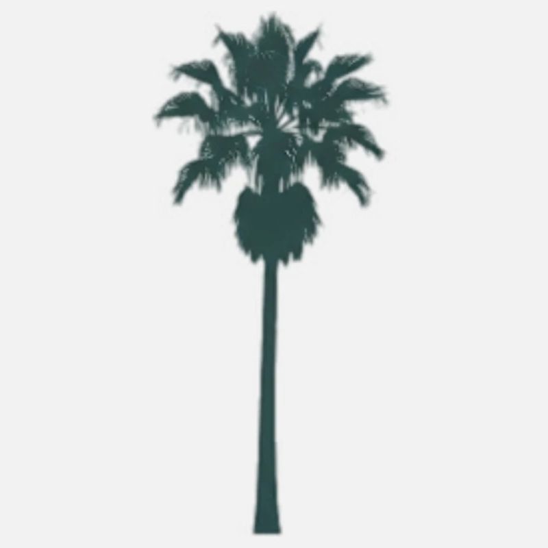 Tropical palm tree design