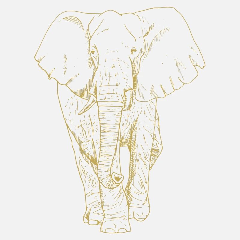 Illustrated designs with elephant