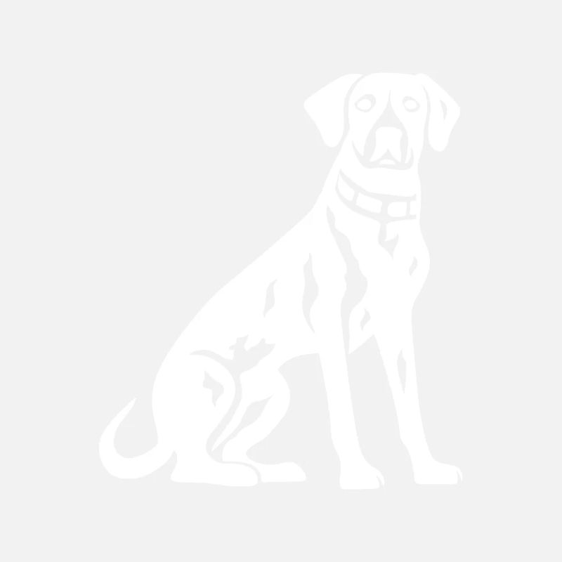 Dalmatiner Hund Silhouette