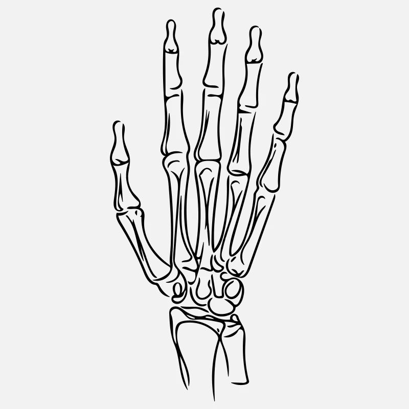 Hand Line Art - Minimalist