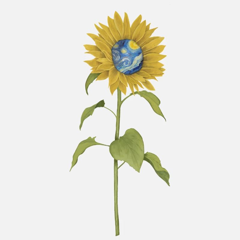 Sonnenblume