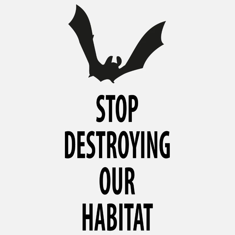 Bat Bats