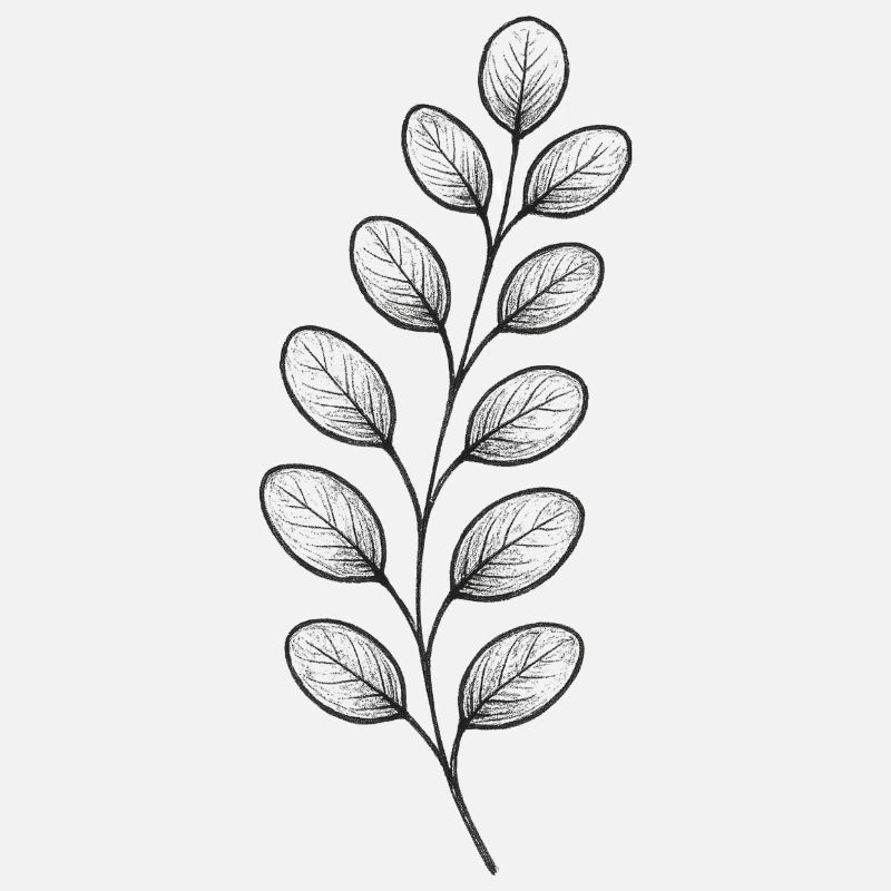 Graphitic Leaf Branch – Monochrome