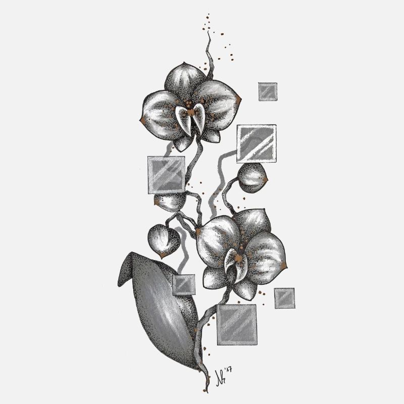 Orchidee