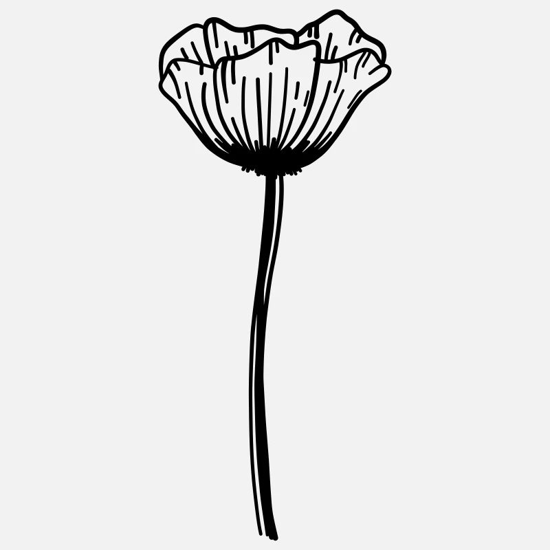 Mohn Blume
