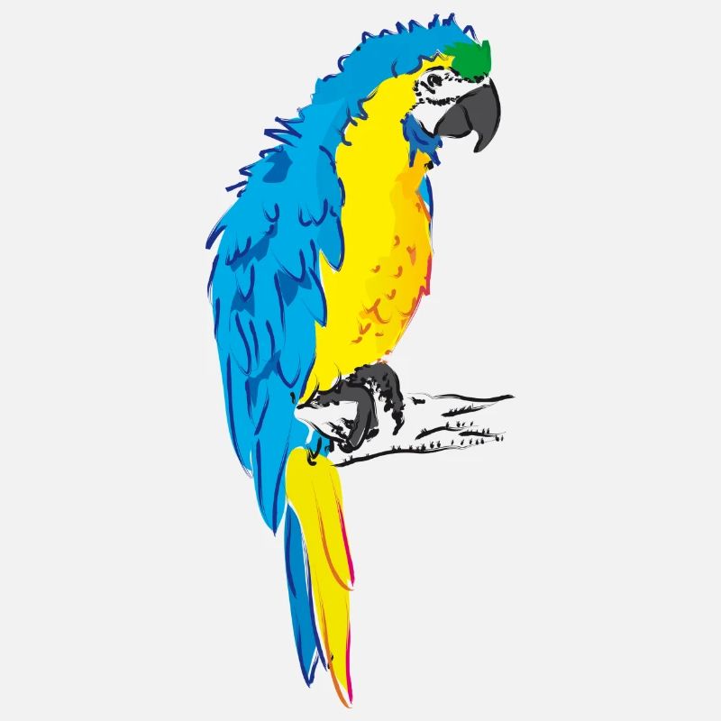 Ara perroquet jaune, dessin bleu