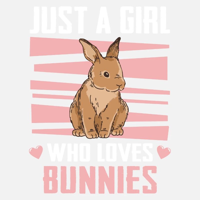 Rabbit Animal Pet Rabbit