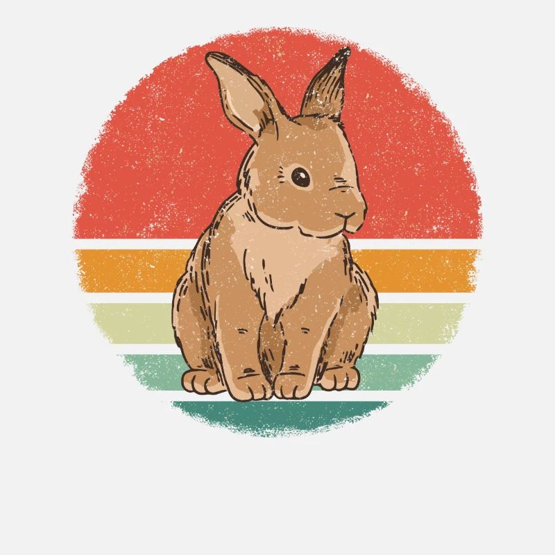 Rabbit Animal Pet Rabbit