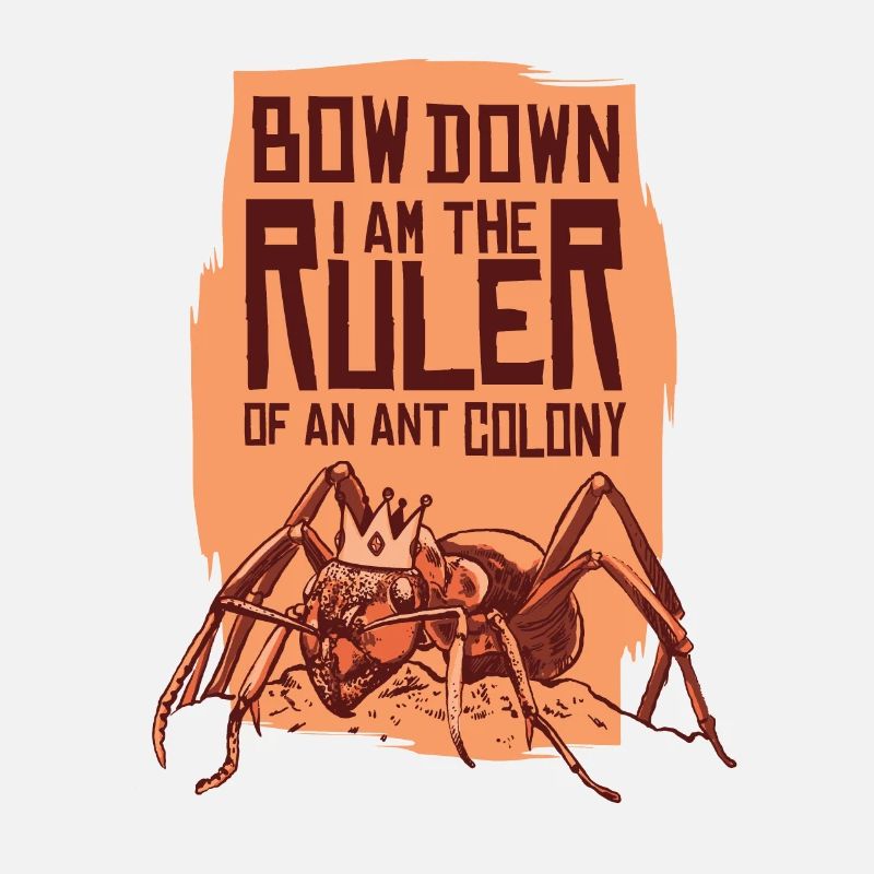Ants insects ant