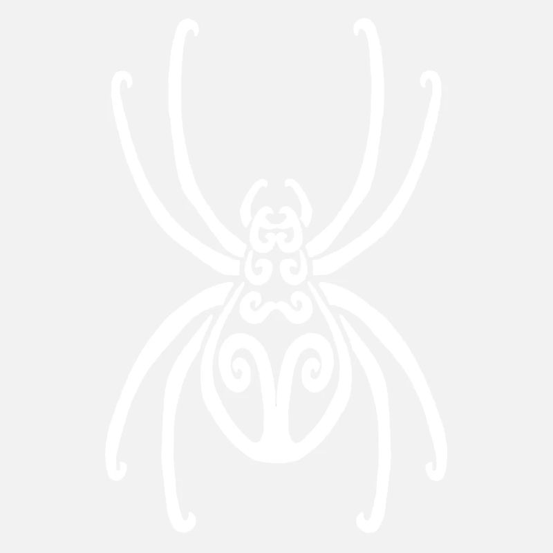 Araignée blanche