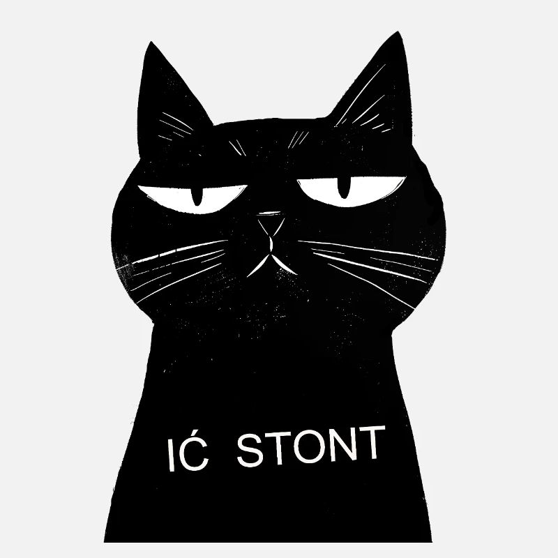 Cat Noir und Stont