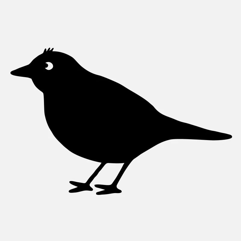 oiseau 6