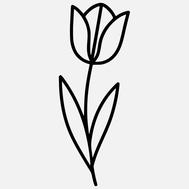 Tulpe Blume Frühling Outline