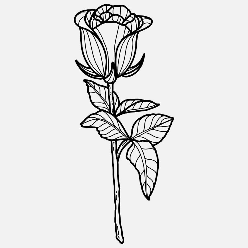 Blume Rose