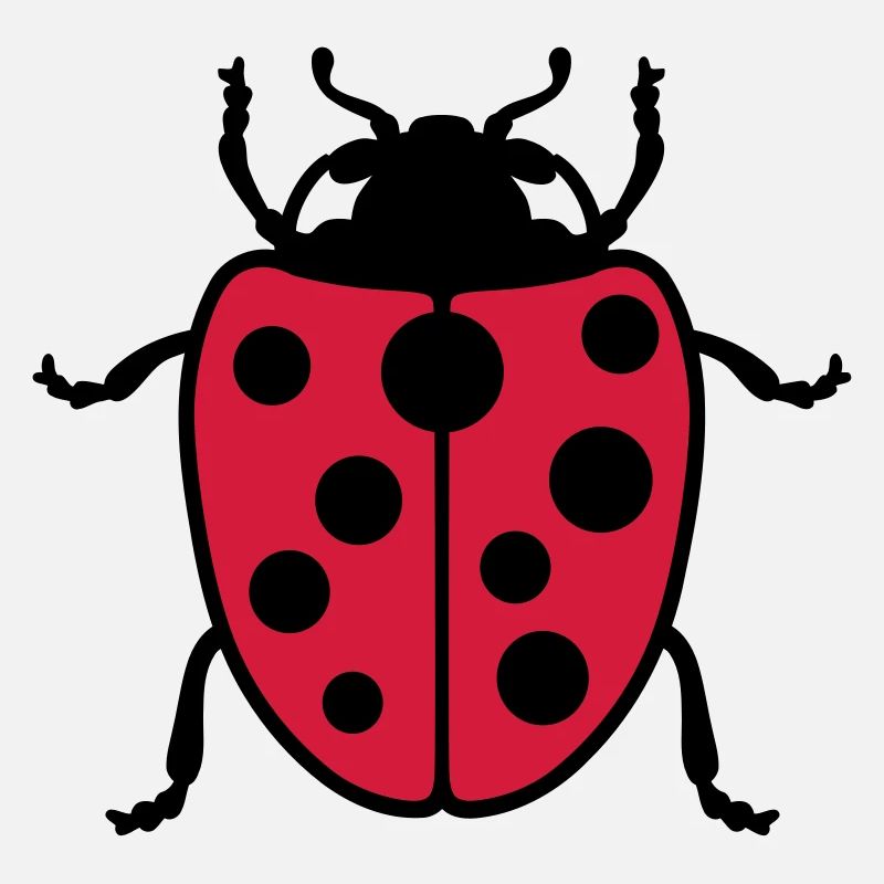 Ladybug