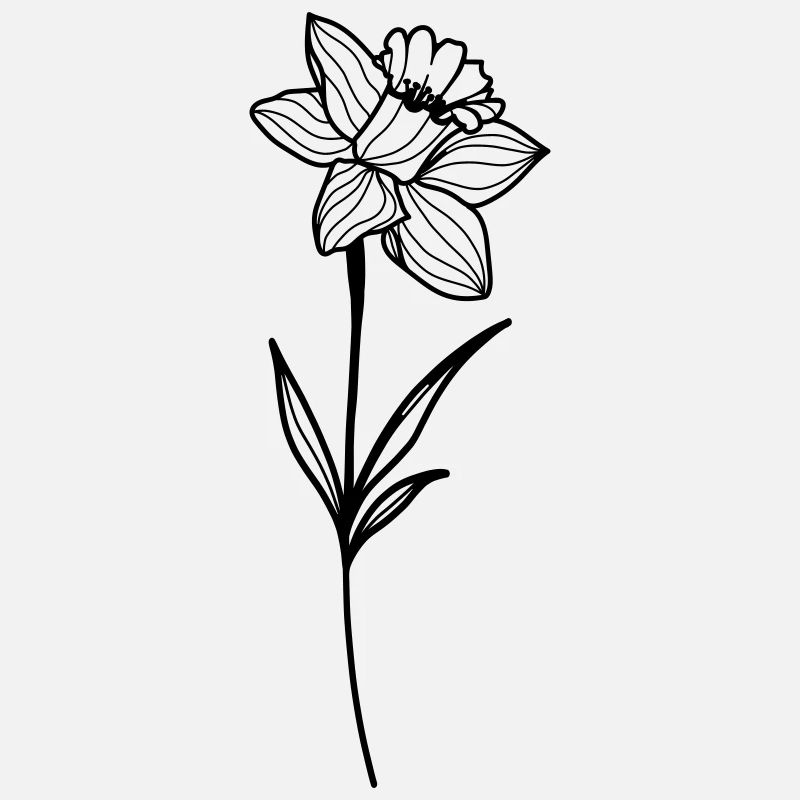 Narcisse, jonquille