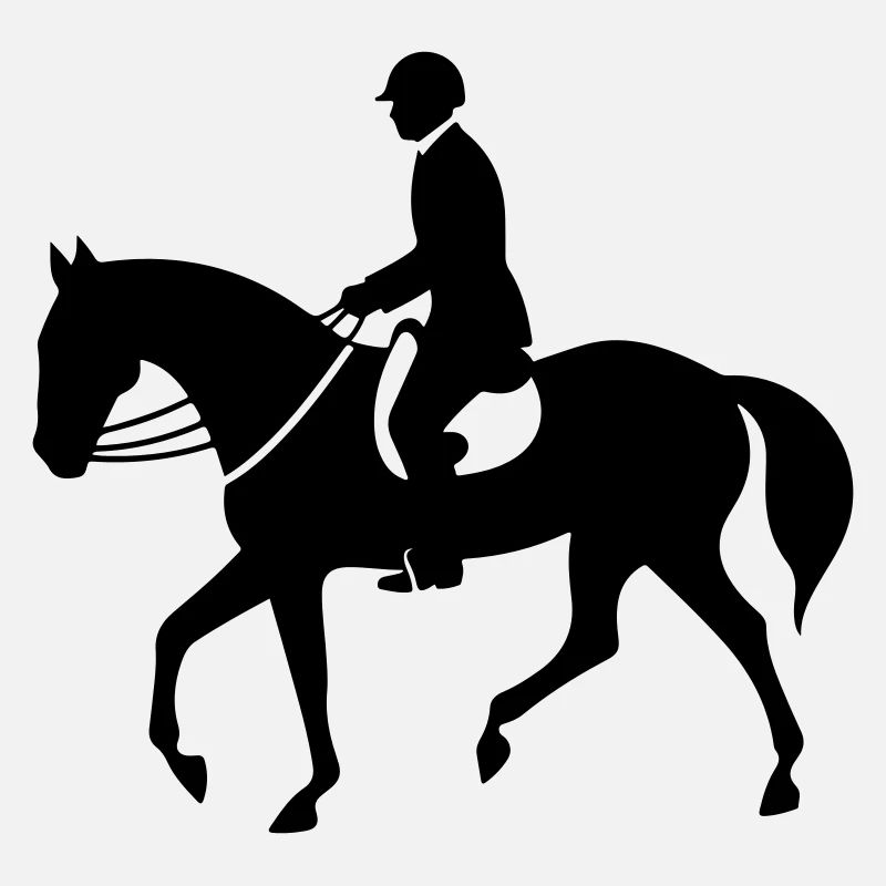 Reiten Pferd Sport Silhouette