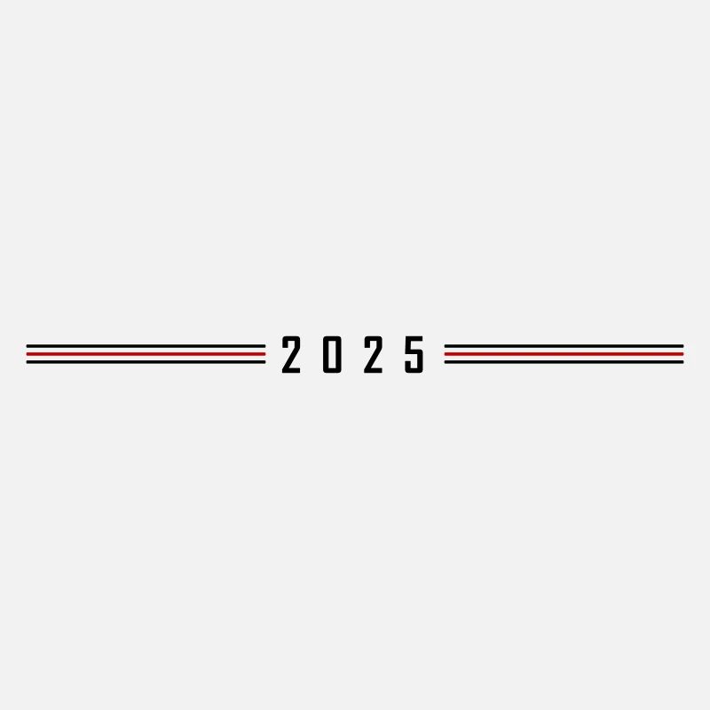 2025 year