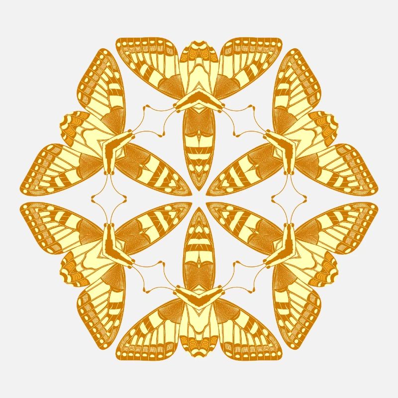 Papillons Mandala dorés – Insectes