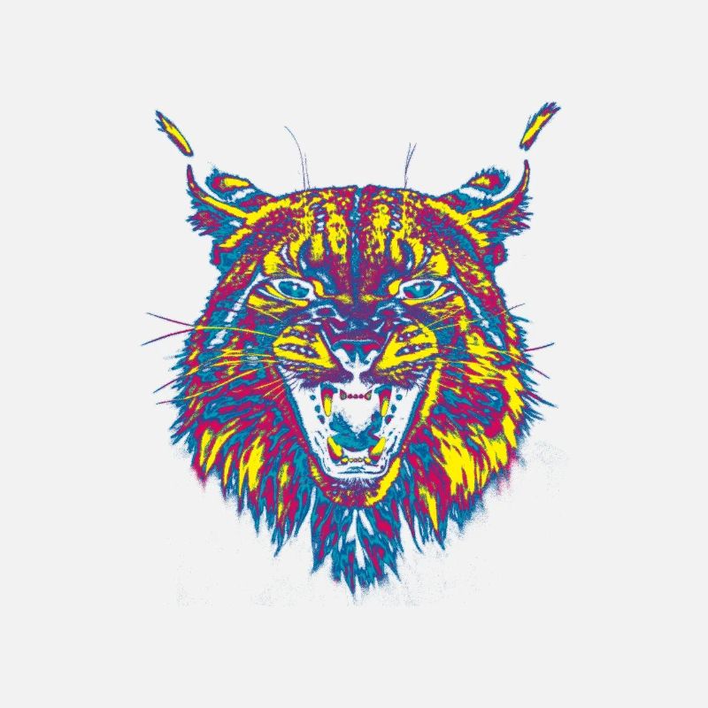 Lynx coloré