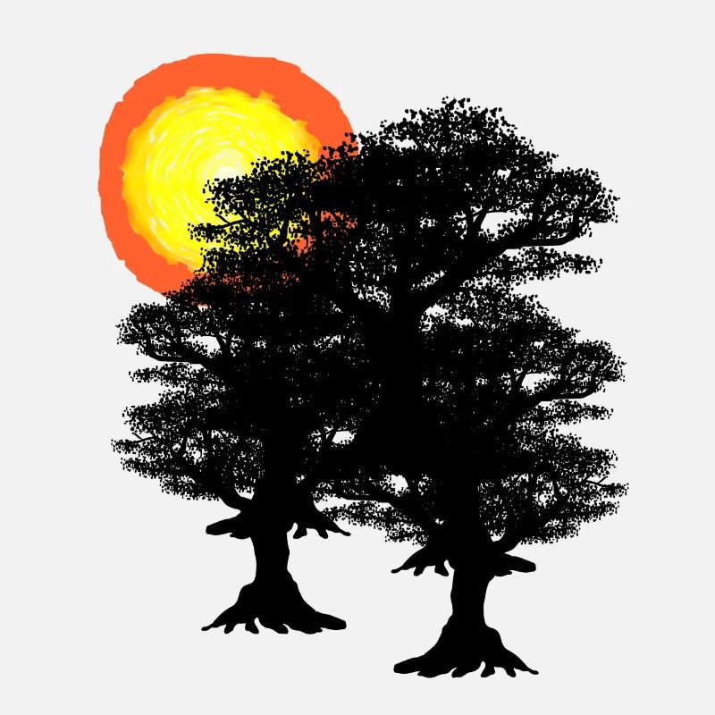 Sun trees tree forest nature ecology environment