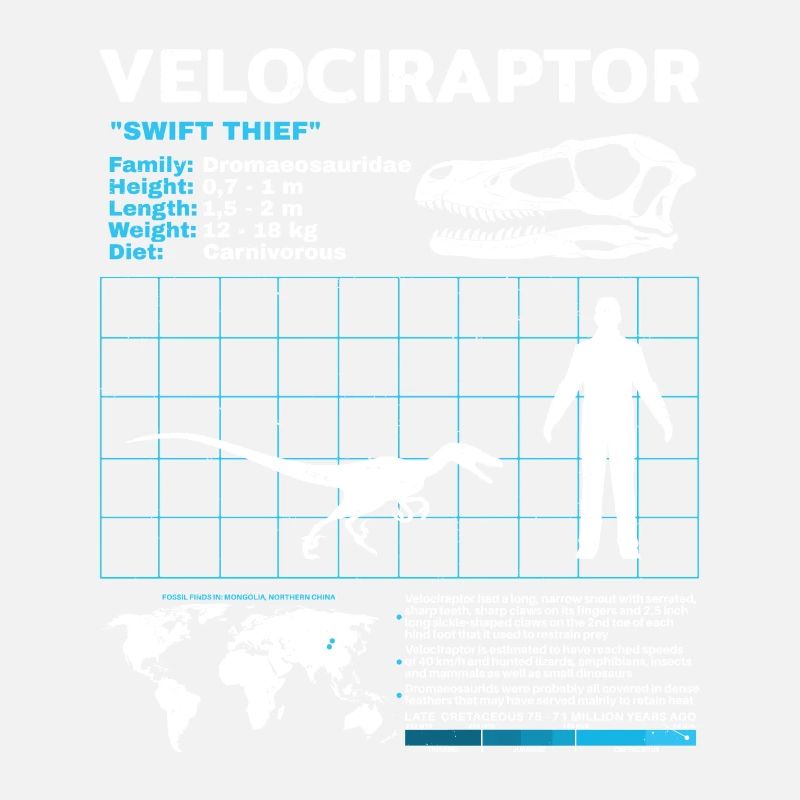 Scheda informativa sul Velociraptor