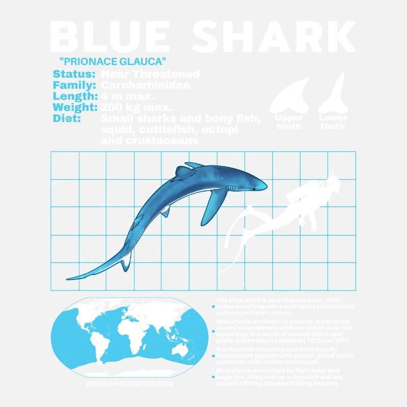 Blue Shark Scheda tecnica Scheda tecnica