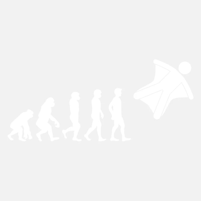Wingsuit volant Base Jumping Skydiving Evolution