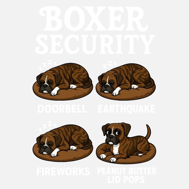 Boxer