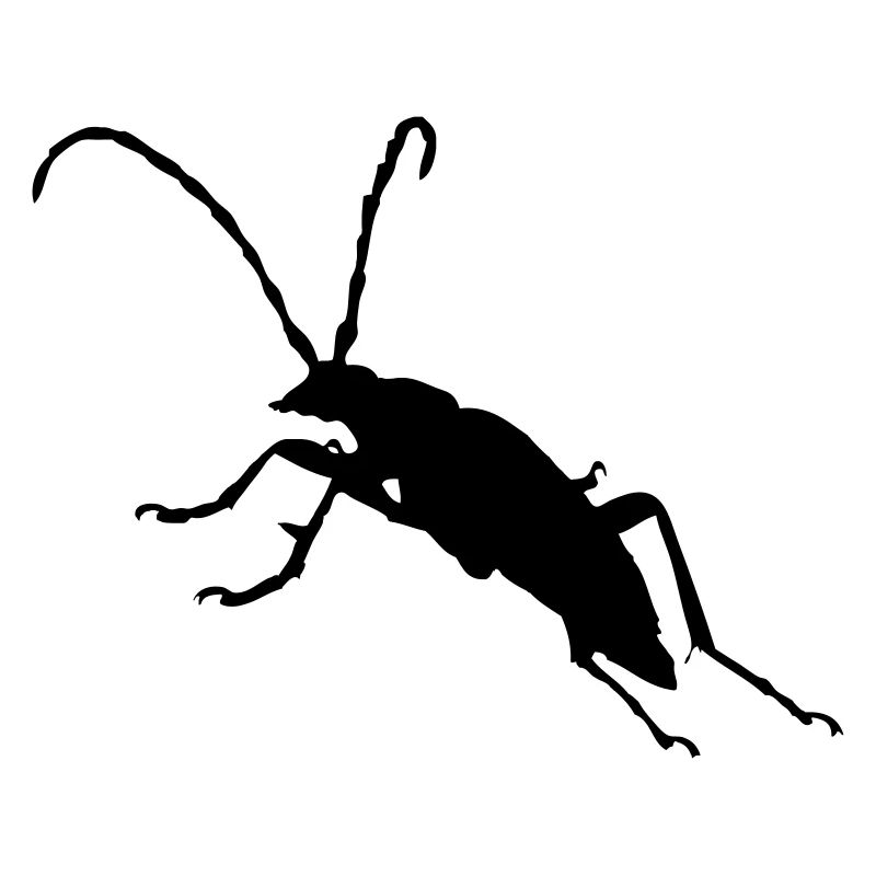 Käfer Bug