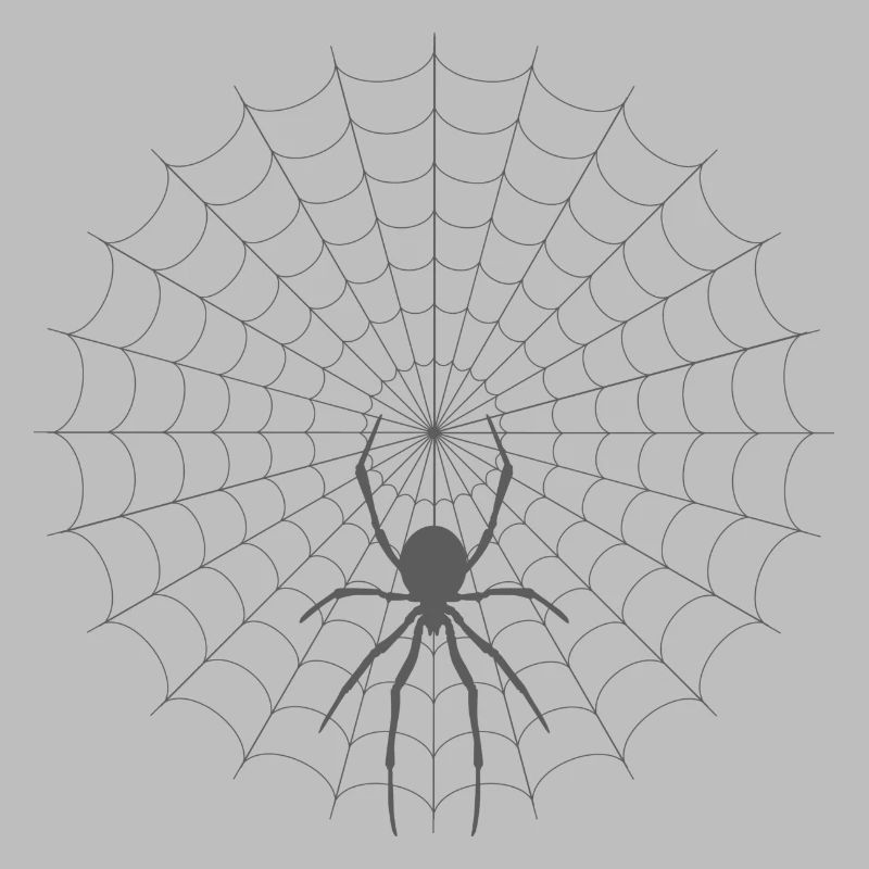 Spinnennetz Silhouette