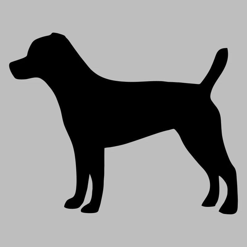 Patterdale Terrier