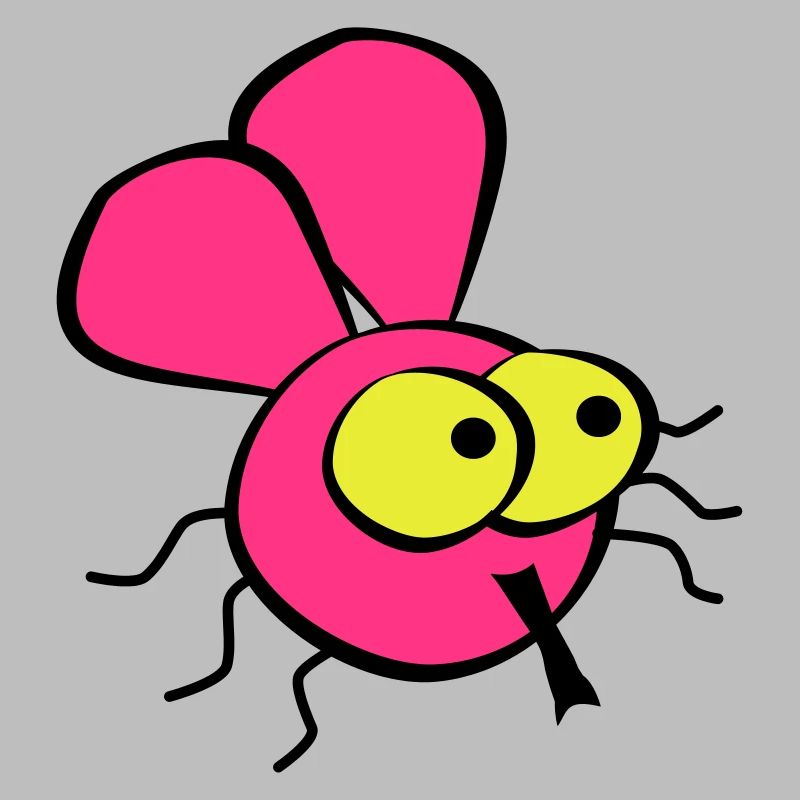 Fly
