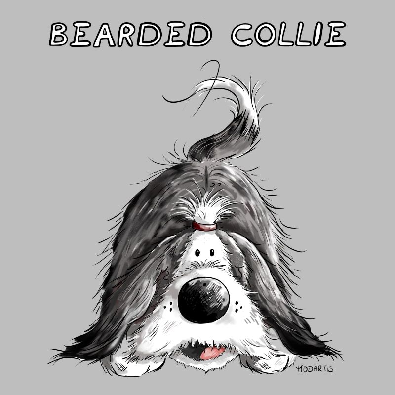 Playing Bearded Collie