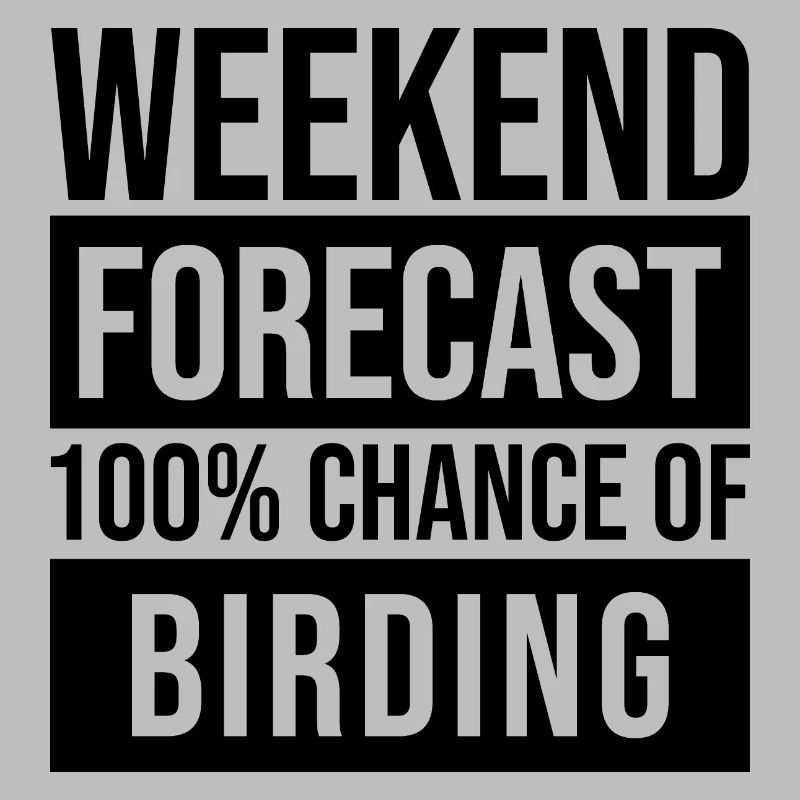 Birder