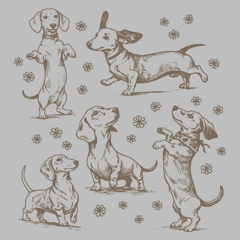 Teckel Teckel Chiens Teckels Teckel Chien teckel Teckel