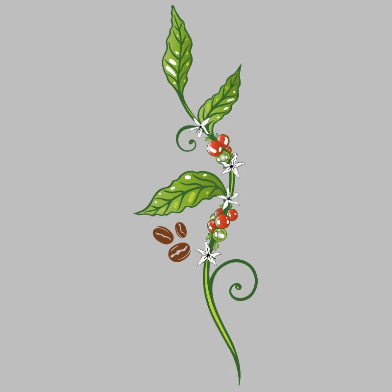 Kaffee Kaffeepflanze Kaffeebohnen