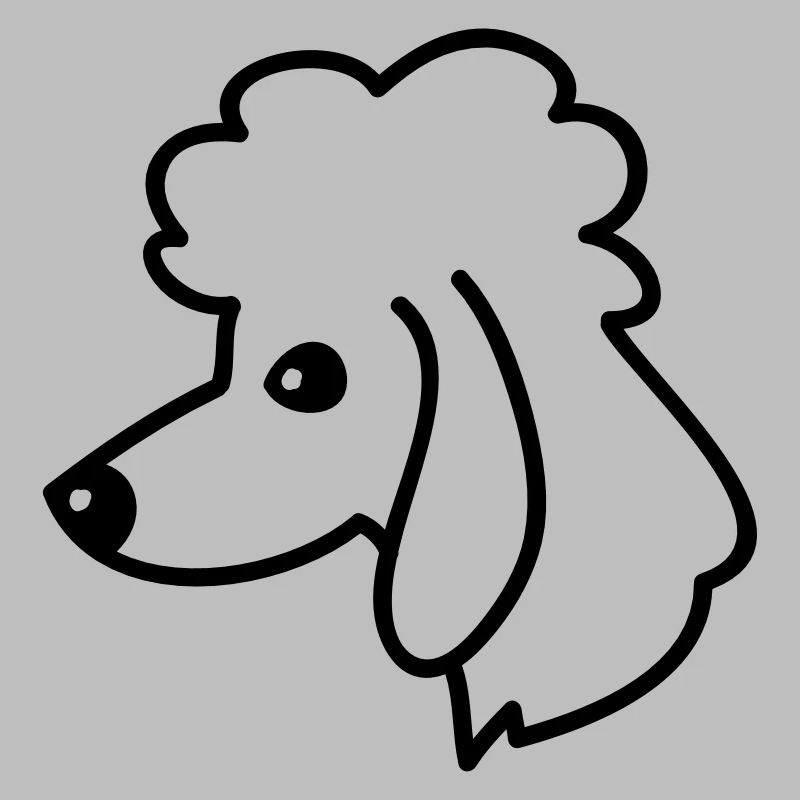 Portrait de caniche