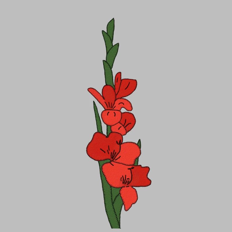 Gladiole