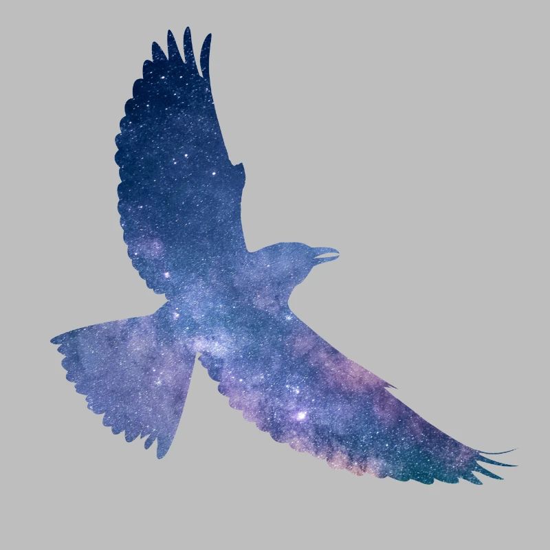 Oiseau de l’espace