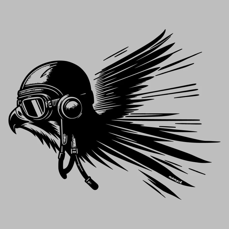 Pilot Hawk