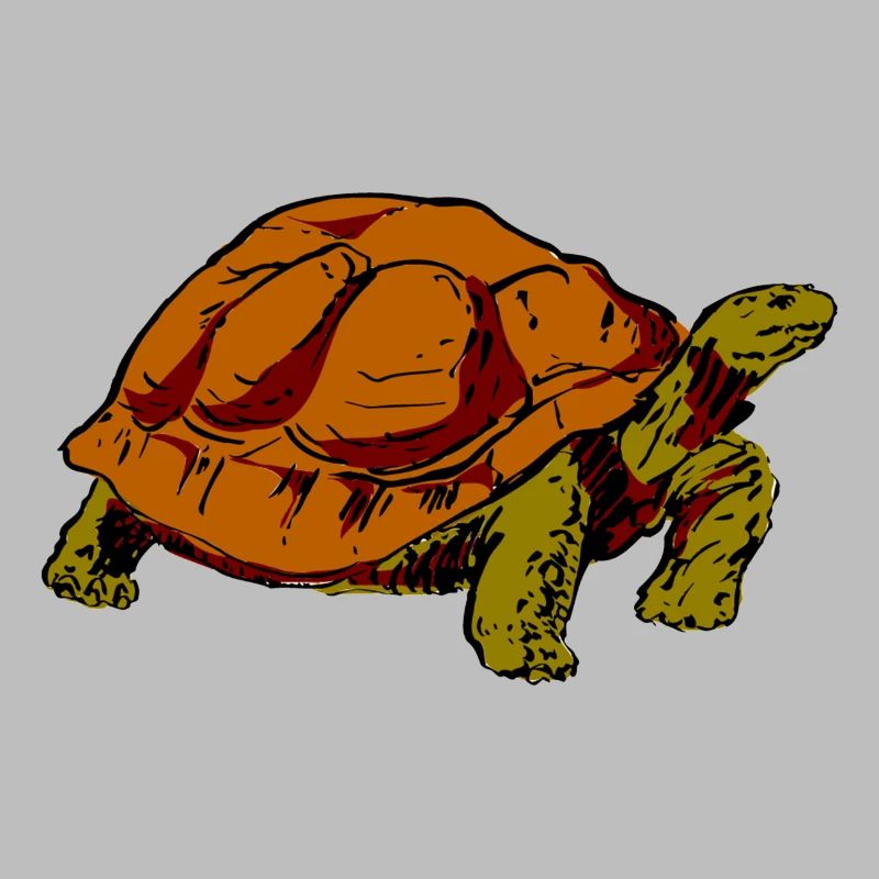 Schildkröte