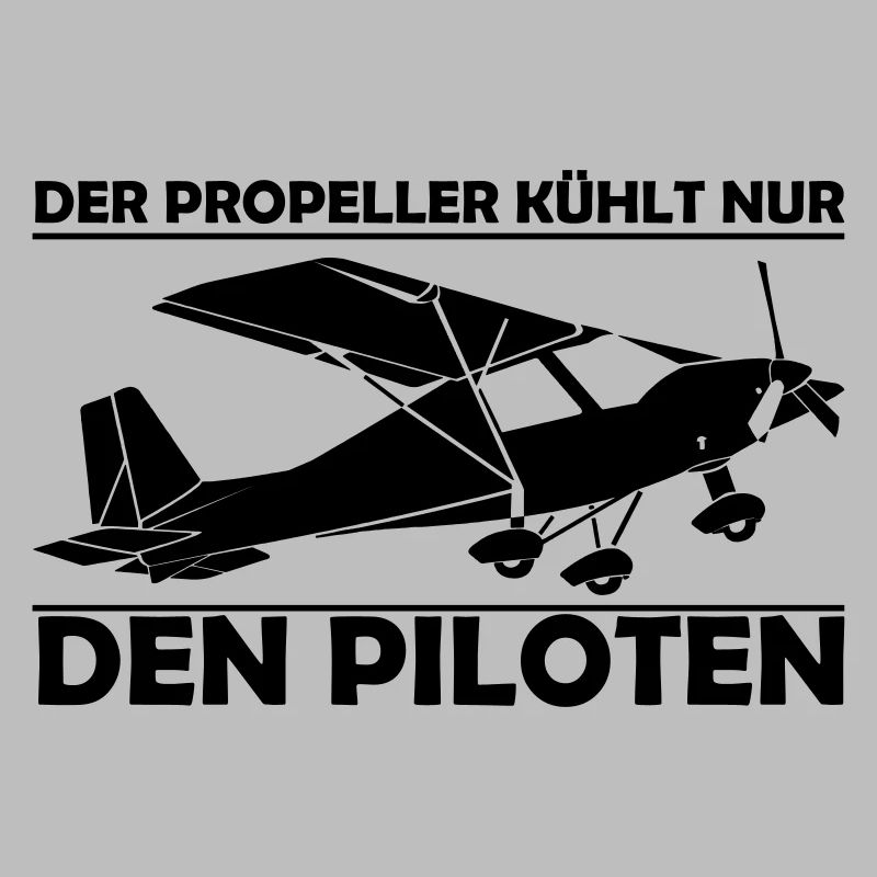 C42 Ultraleichtflugzeug Geschenk