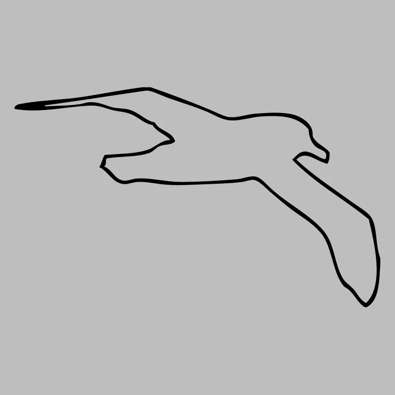 Möwe