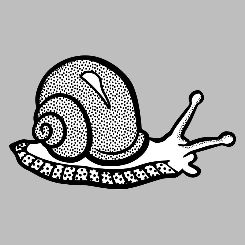 Snail black and withe