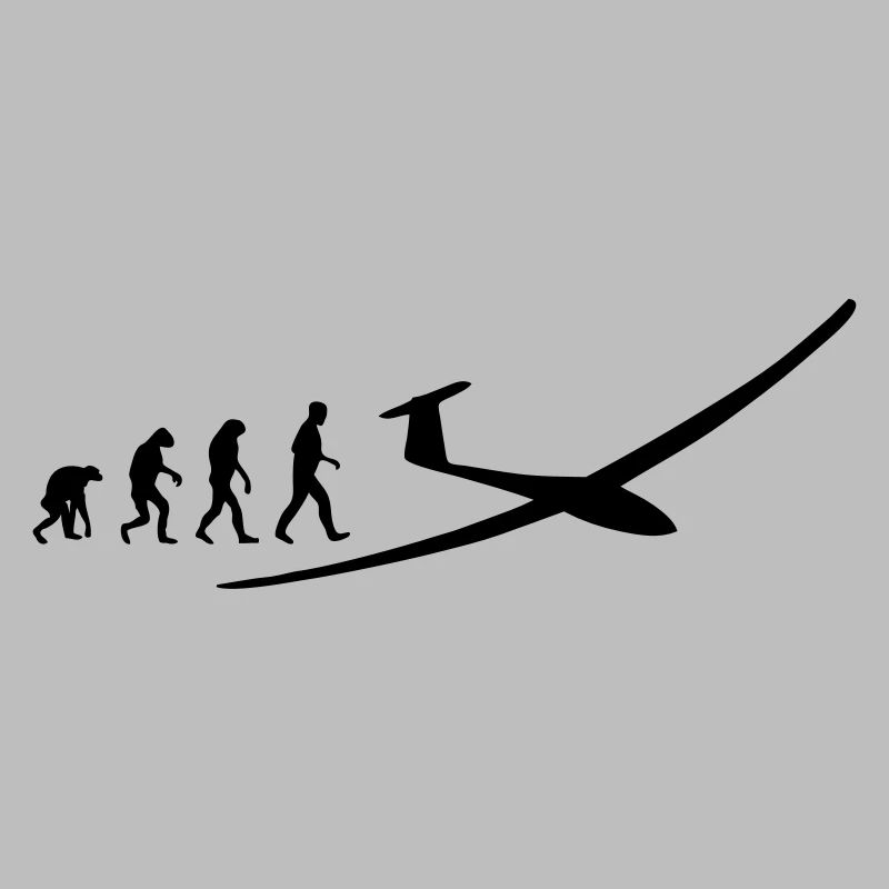 segelflugzeug evolution